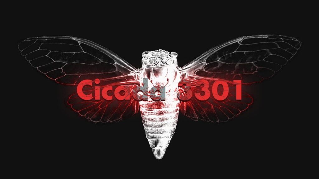 Цикада 3301 - все тайные изображения от тайного общества Cicada 3301