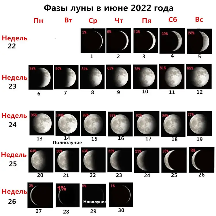 фазы луны на июнь 2023